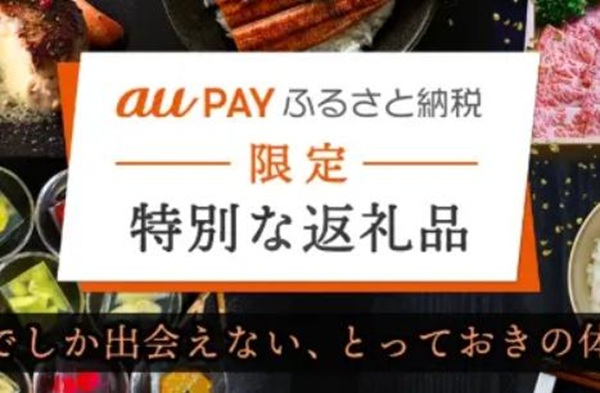 au PAY ふるさと納税