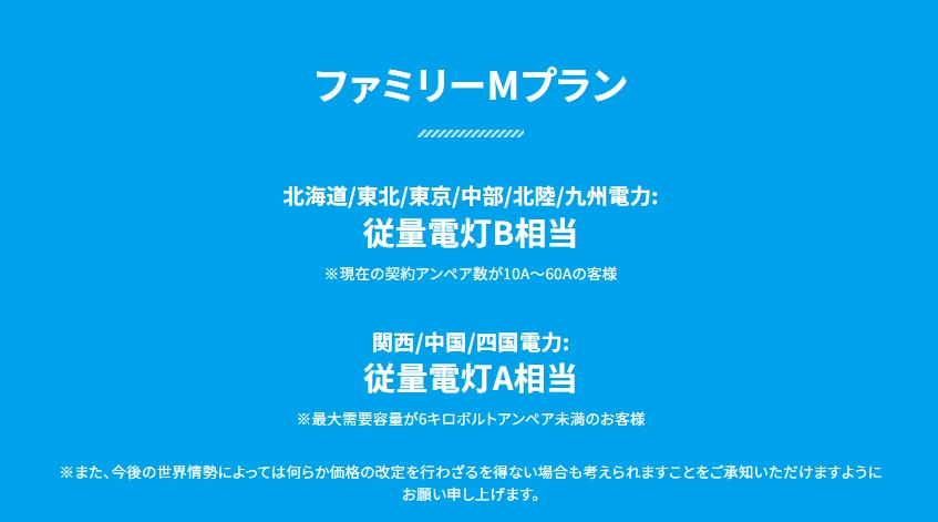ファミリープランM